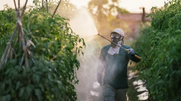 'La gente prefiere no saber qué contiene la lechuga, el tomate o la fresa, porque si supiera, ya no comería'