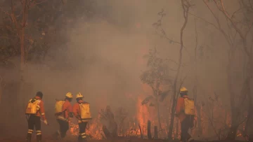 Superficie quemada por incendios en Brasil aumentó 79% en 2024 (informe)