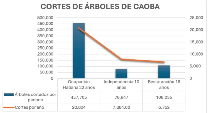 CORTE-DE-ARBOLES-DE-CAOBA-728x397