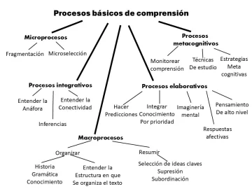 El-indicador-real-de-la-comprension-lectora-2-728x546