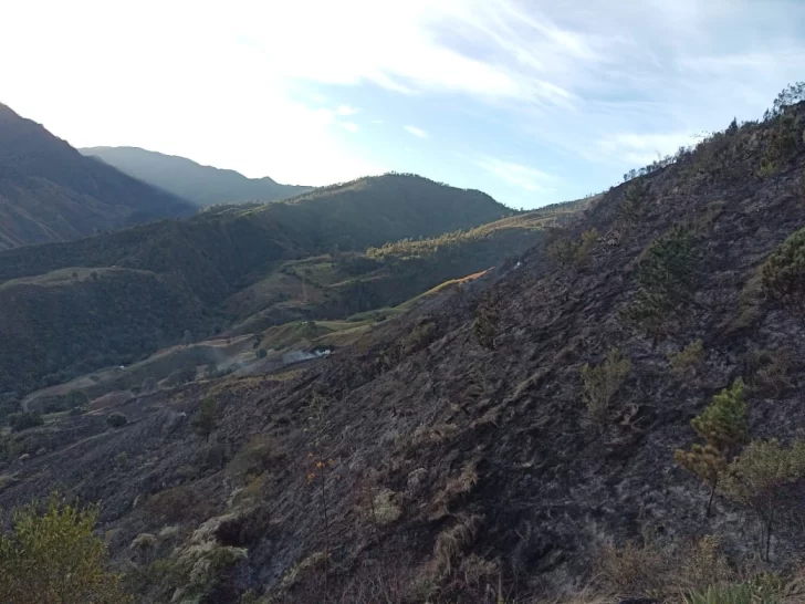 Bomberos forestales extinguen incendio en Valle Nuevo