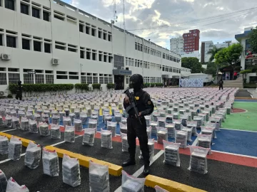 Más de 44 toneladas de drogas fueron confiscadas en 2024