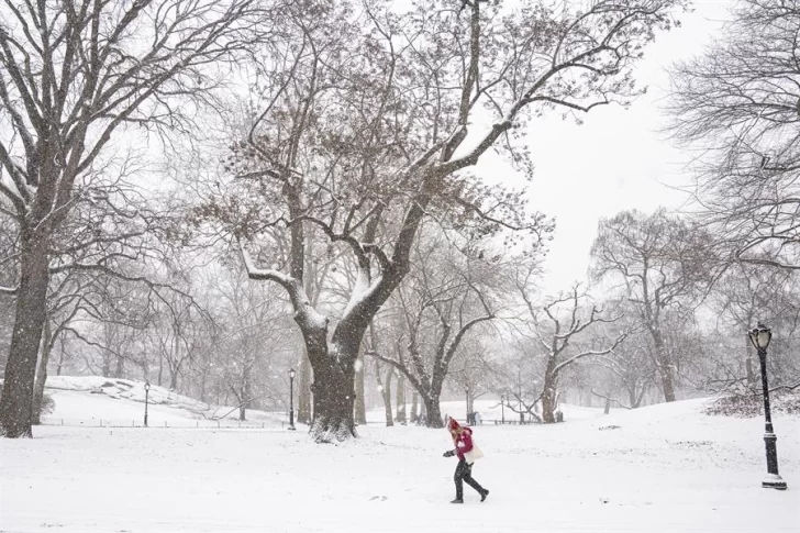 Tormenta de nieve afecta a más de 60 millones en EE.UU., provocando cancelaciones de vuelos y cortes