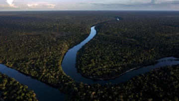 Los retos en la Amazonía en el tercer mandato de Lula