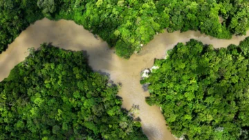 Reanudación de la COP16 sobre biodiversidad en Roma: ¿superarán los países sus diferencias?