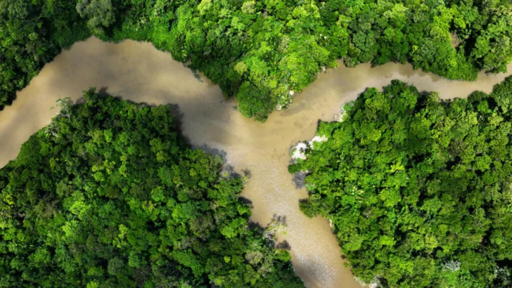 Reanudación de la COP16 sobre biodiversidad en Roma: ¿superarán los países sus diferencias?