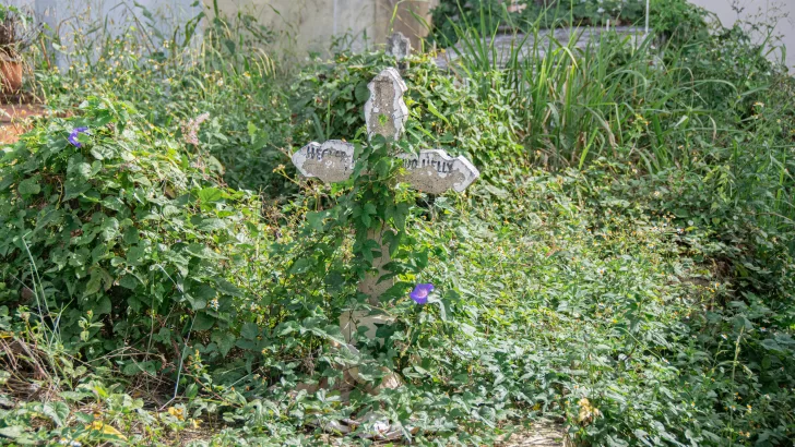 Los vivos abandonan a sus muertos en el cementerio Cristo Salvador