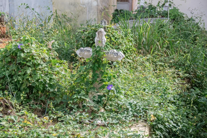 Los vivos abandonan a sus muertos en el cementerio Cristo Salvador