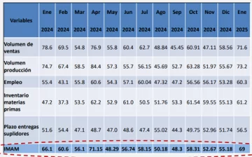 Cuadro-Indice-Mensual-de-Actividad-Manufacturera-Ajustado-por-Factor-Estacional-enero-2024-a-enero-2025