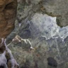 Abinader crea comisión presidencial para desarrollo sostenible y ecoturístico de las Cuevas del Pomier