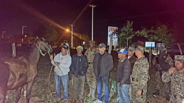 Ejército de República Dominicana recupera ganado robado en Dajabón