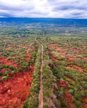 Pedernales-tierras-raras-4-582x728