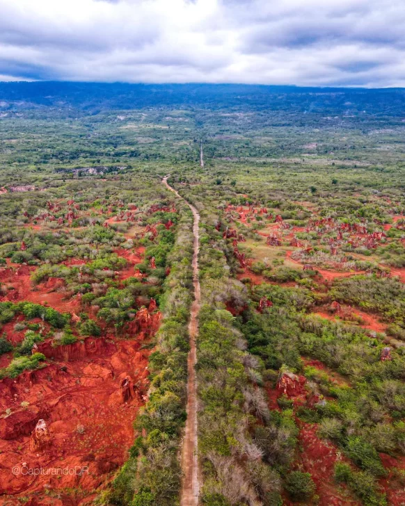 ¿Qué es la tierra rara? Los minerales estratégicos que impulsan la