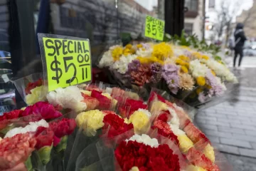 Importación de flores en EE.UU. prospera durante San Valentín pese al fantasma de aranceles