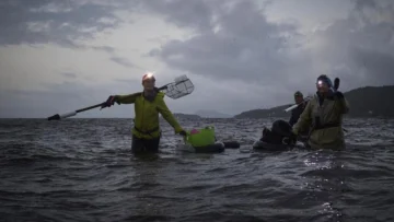 Se hunde la actividad marisquera en Galicia por el calentamiento global y la contaminación