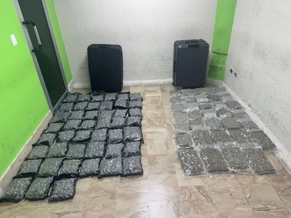 Incautadas dos maletas con 79 paquetes de marihuana en aeropuerto de Punta Cana