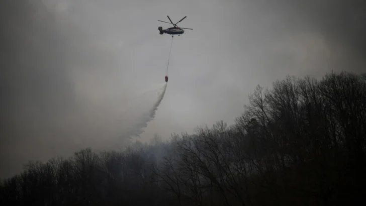 Corea del Sur enfrenta el peor incendio forestal de su historia, con al menos 27 muertos