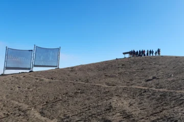 Cómo la 'cosecha de niebla' puede ayudar a ciudades con falta de agua en Chile (y el mundo)