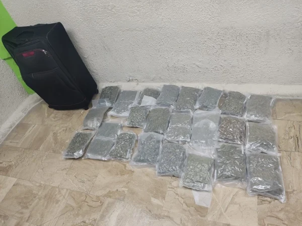 Detienen una mujer canadiense con 23 paquetes de marihuana en aeropuerto de Punta Cana