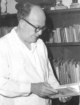  Franklin Mieses Burgos.