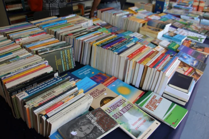 Libros-libros-libros-728x485