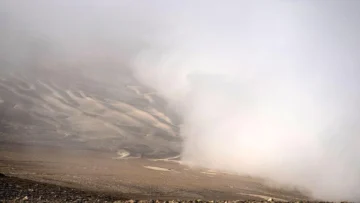 Cómo la 'cosecha de niebla' puede proveer agua a ciudades con escasez hídrica en Chile (y el mundo)