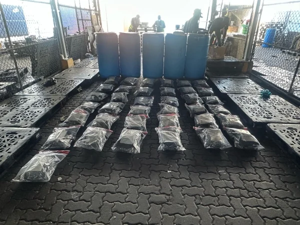 Confiscan 73 paquetes de marihuana en el puerto de Haina