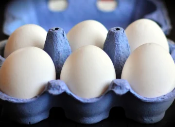 Contrabando de huevos de gallina de Canadá hacia EE.UU. por aumento de precio