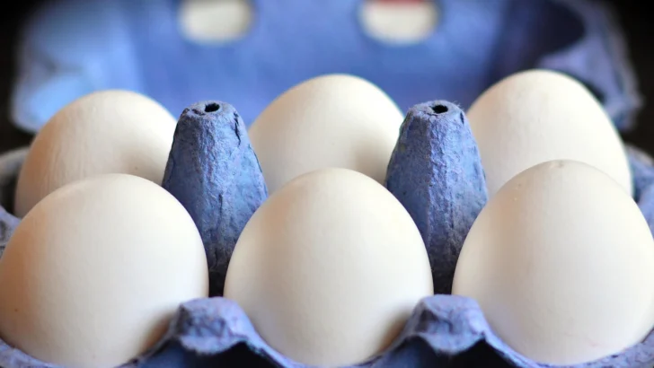Contrabando de huevos de gallina de Canadá hacia EE.UU. por aumento de precio