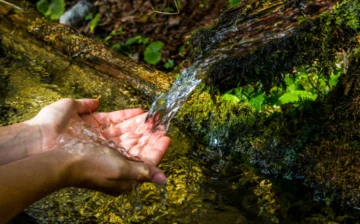 Red Socioambiental Nacional reitera compromiso con la defensa del agua