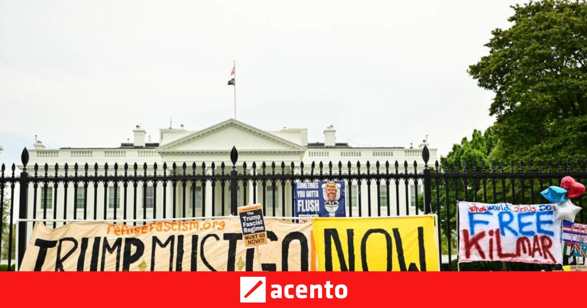 Miles salen a las calles en EEUU en otra ola de protestas contra Trump ...