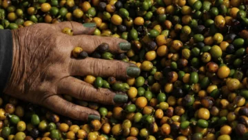 Aranceles: Donald Trump juega con los nervios de los bebedores de café estadounidenses