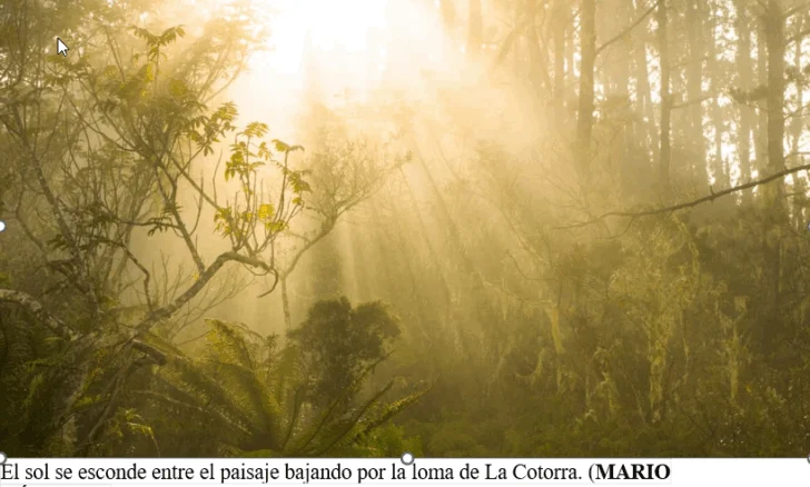  Foto del Libro El Pico Duarte.