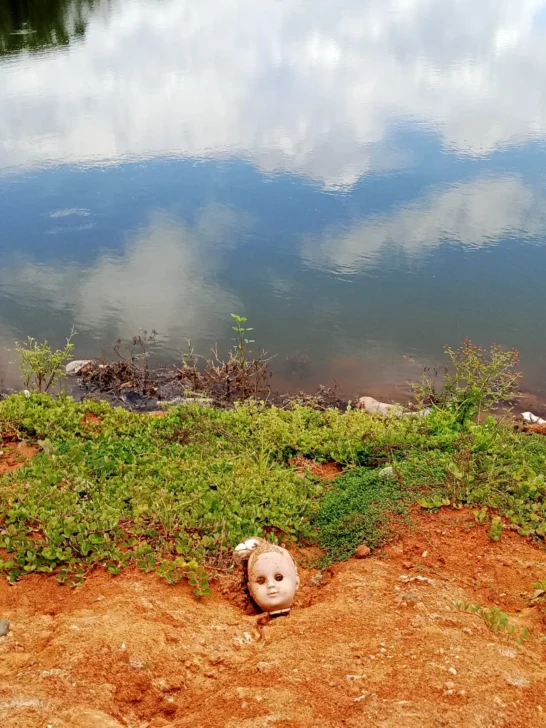 Tony Capellán, Arte Povera, peces muertos y la nación fermentada