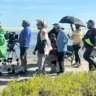 La Aldea Estudio produce "Caguama": Un homenaje a Blanco Turbí
