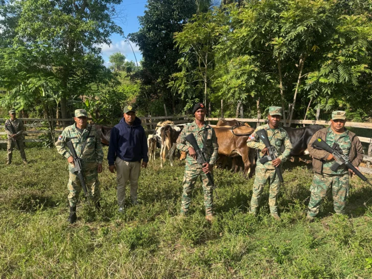 Ejército y unidad de drones recuperan 13 reses robadas a ganadero en Dajabón
