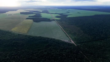 Brasil se prepara para recibir la COP30 en seis meses, con la agroindustria en el punto de mira