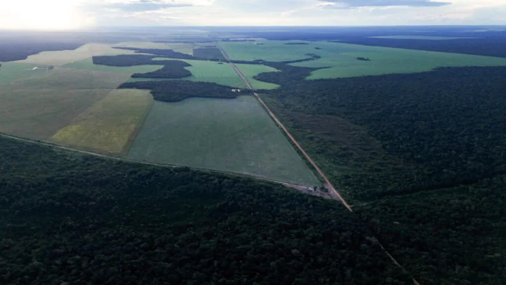 Brasil se prepara para recibir la COP30 en seis meses, con la agroindustria en el punto de mira
