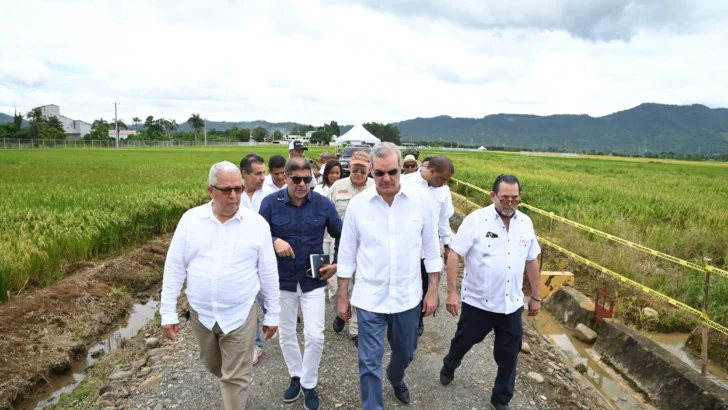 RD lanza nueva tecnología arrocera para enfrentar retos DR Cafta