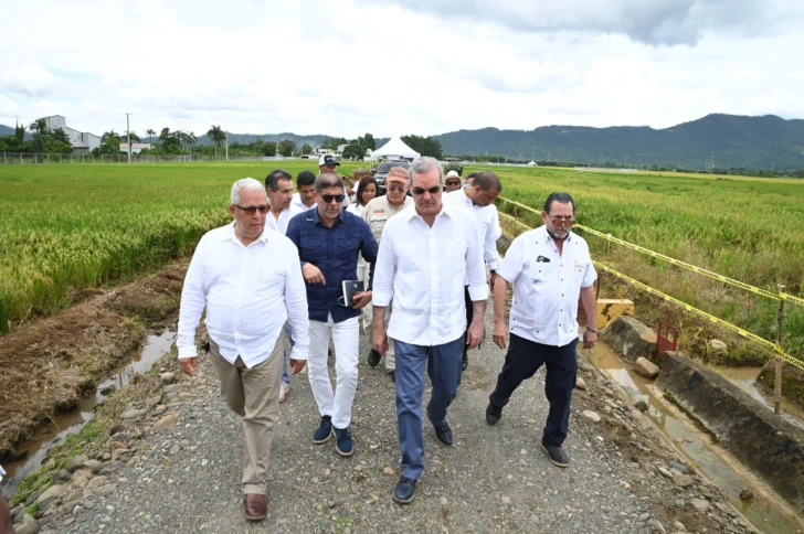 RD lanza nueva tecnología arrocera para enfrentar retos DR Cafta