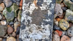 Cómo un iPad encontrado en el río Támesis ayudó a resolver un intento de asesinato y un robo que 