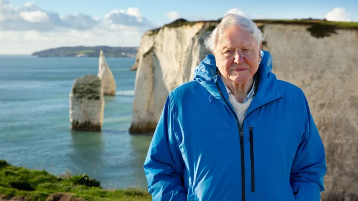 El poderoso y optimista mensaje sobre el futuro del planeta de David Attenborough, el célebre naturalista británico, en su 99 cumpleaños