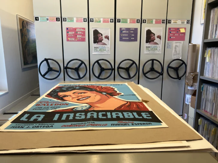  Una fotografía tomada el 24 de abril de 2025 en El Escorial, cerca de Madrid, muestra el almacén de discos y carteles que componen la colección de música latinoamericana de Gladys Palmera. Casa América de Madrid presenta «Latina», una exposición que muestra parte de la colección privada de Gladys Palmera, compuesta por 65.000 vinilos, 30.000 CD, fotos y carteles relacionados con la música latinoamericana. (Foto de Alfons LUNA / AFP)