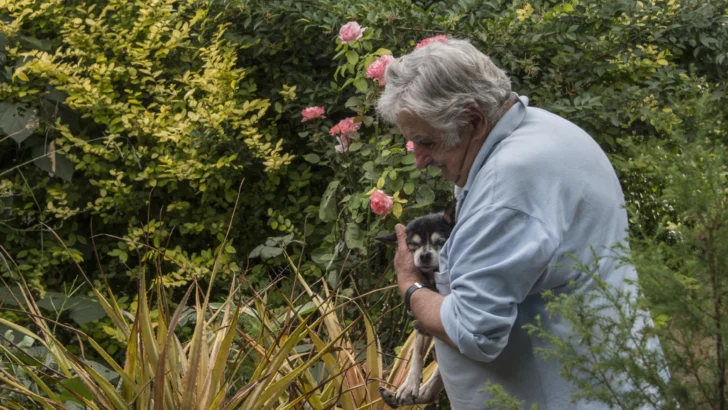 Falleció un político decente: José Mujica, expresidente de Uruguay Falleció un político decente: José Mujica, expresidente de Uruguay