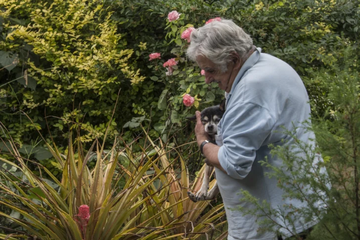 Falleció un político decente: José Mujica, expresidente de Uruguay