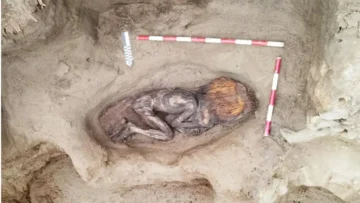 Una momia de 5.000 años en Perú desvela las claves de una sociedad ‘en armonía’