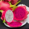 Productores de pitahaya apuestan por la exportación a islas del Caribe y Estados Unidos