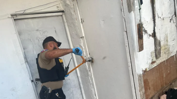 DNCD incauta más de 1,300 libras de drogas en operativos de mayo DNCD incauta más de 1,300 libras de drogas en operativos de mayo