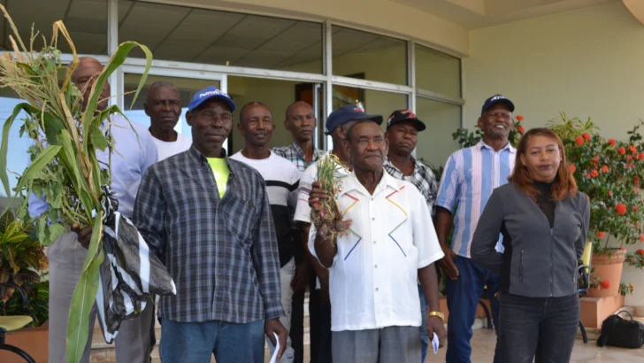 Agricultores culpan a Punta Catalina de pérdida de cosecha de cebolla