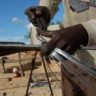 ¿Cuántos haitianos necesitamos y cuántos sobran?
